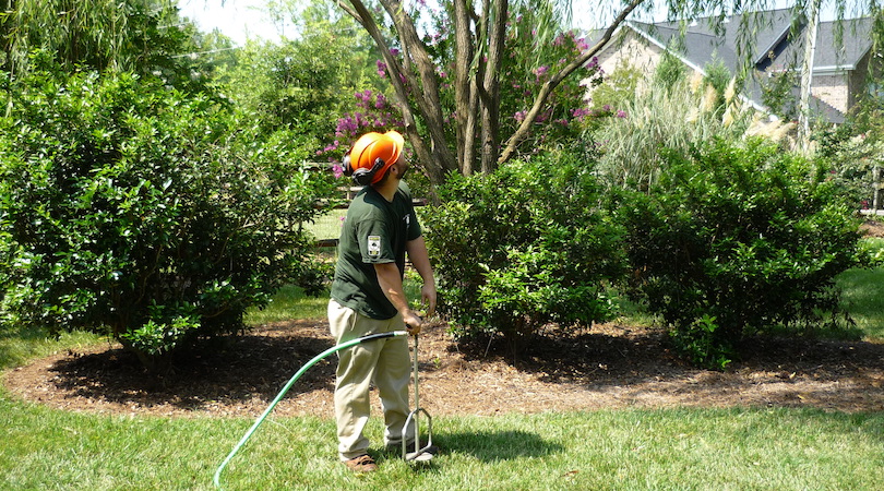 Tree & Plant Health Care
